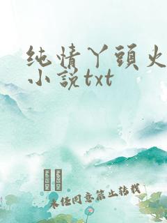 纯情丫头火辣辣小说txt