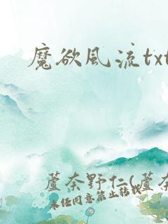 魔欲风流txt