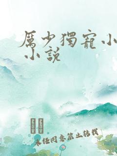 厉少独宠小娇妻 小说