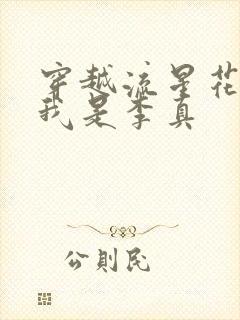 穿越流星花园之我是李真