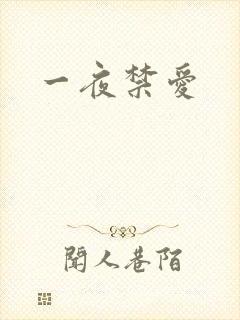 一夜禁爱