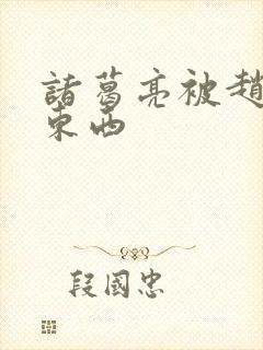 诸葛亮被赵云塞东西