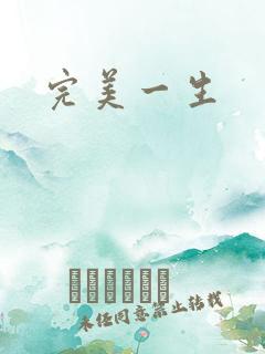 完美一生