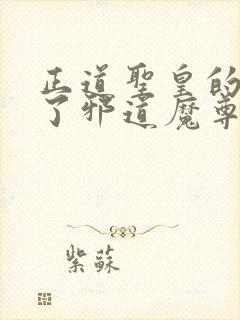 正道圣皇的我娶了邪道魔尊 小说