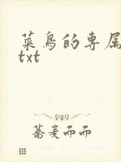 菜鸟的专属大神txt