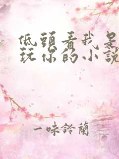 低头看我是怎么玩你的小说