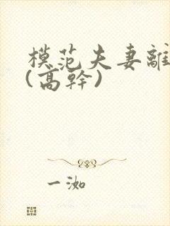 模范夫妻离婚了(高干)