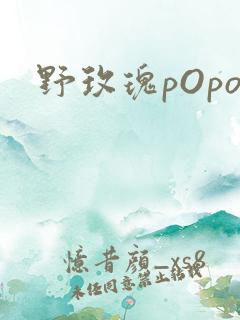 野玫瑰pOpo