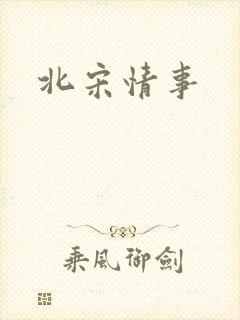 北宋情事