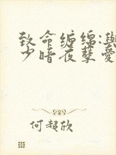 致命缠绵:与冷少暗夜孽爱