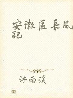 安徽区长风流日记
