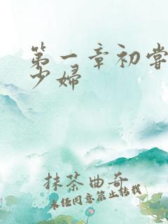 第一章初尝云雨少妇