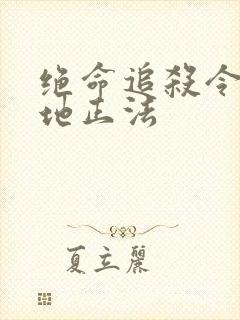 绝命追杀令2就地正法