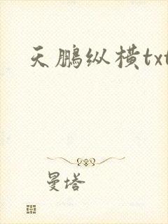 天鹏纵横txt