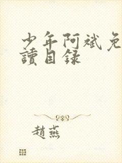 少年阿斌免费阅读目录