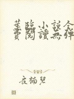 叶临小说全文免费阅读无弹窗