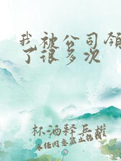 我被公司领导C了很多次