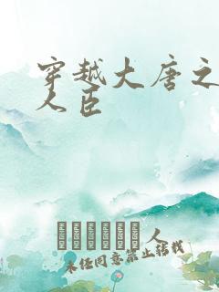 穿越大唐之位极人臣