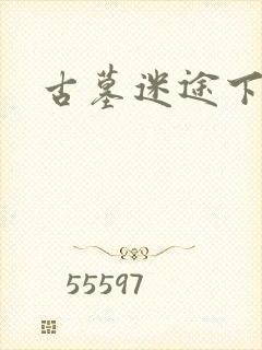 古墓迷途下载