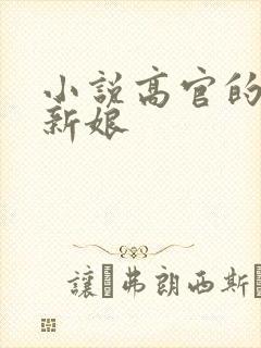 小说高官的暗夜新娘