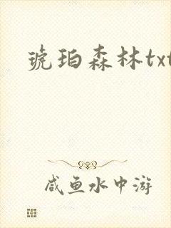 琥珀森林txt