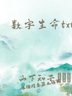 数字生命txt