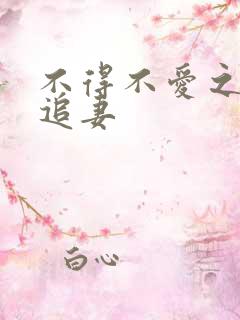 不得不爱之冷少追妻