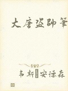 大唐盗帅笔趣阁
