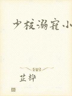 少校溺宠小小妻