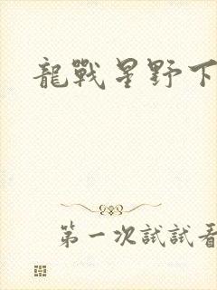 龙战星野下载