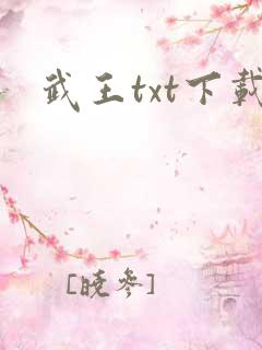 武王txt下载