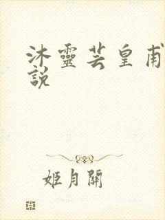 沐灵芸皇甫霆小说