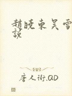 赵晓东吴雪晴小说