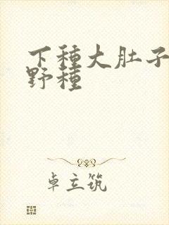 下种大肚子怀孕野种