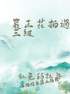 严正花拍过什么三级