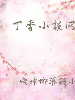 丁香小说网