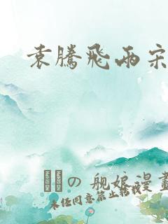 袁腾飞两宋风云