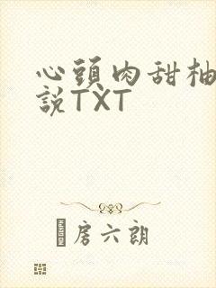 心头肉甜柚子小说TXT