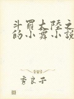 斗罗大陆之Y荡的小舞小说