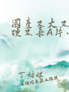 国产又大又粗又硬又长A片小说