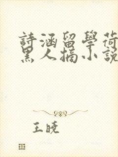 诗涵留学荷兰被黑人摘小说