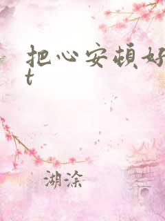 把心安顿好txt