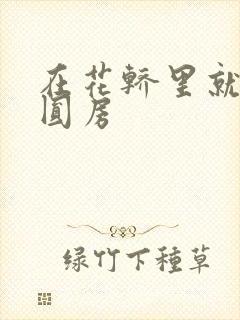 在花轿里就开始圆房