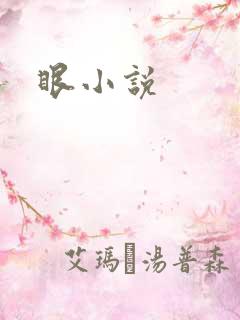 眼小说