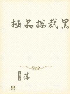 极品总裁黑道妻