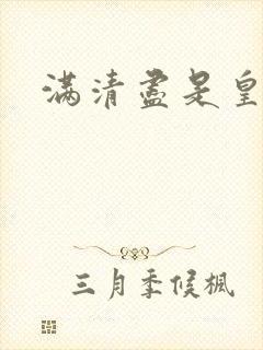 满清尽是皇阿哥