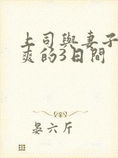 上司与妻子干到爽的3日间