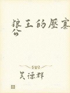 狼王的压寨小相公