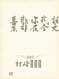 喜欢你我说了算叶非夜全文免费阅读