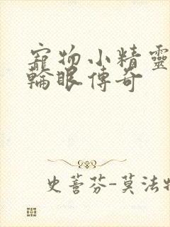 宠物小精灵之写轮眼传奇